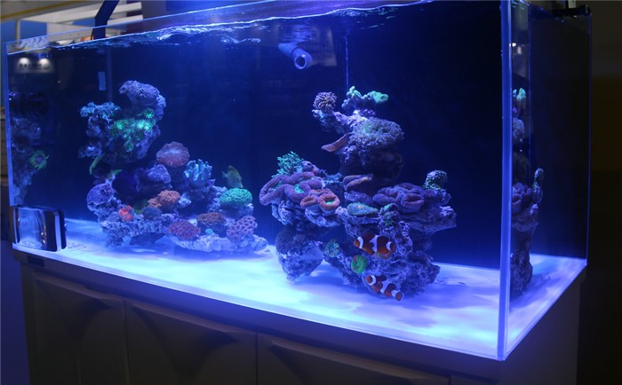 超白玻璃魚缸 超白玻璃魚缸